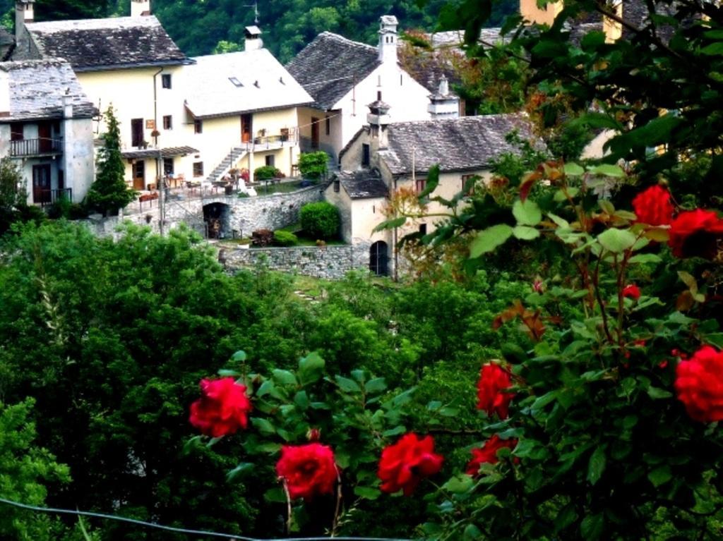 B&B Alpe Veglia Varzo Buitenkant foto