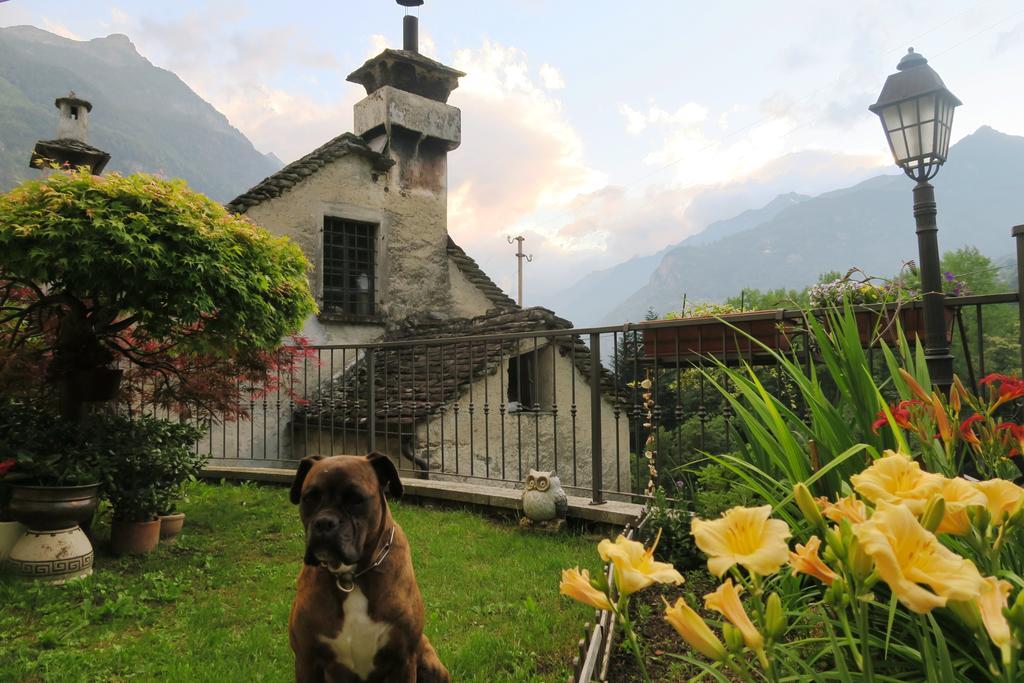 B&B Alpe Veglia Varzo Buitenkant foto