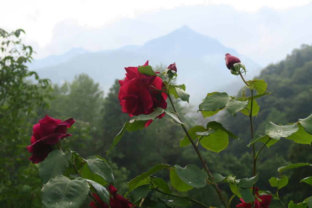 B&B Alpe Veglia Varzo Buitenkant foto
