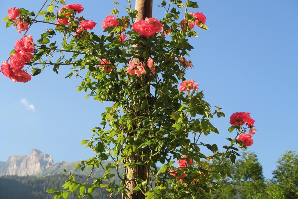 B&B Alpe Veglia Varzo Buitenkant foto