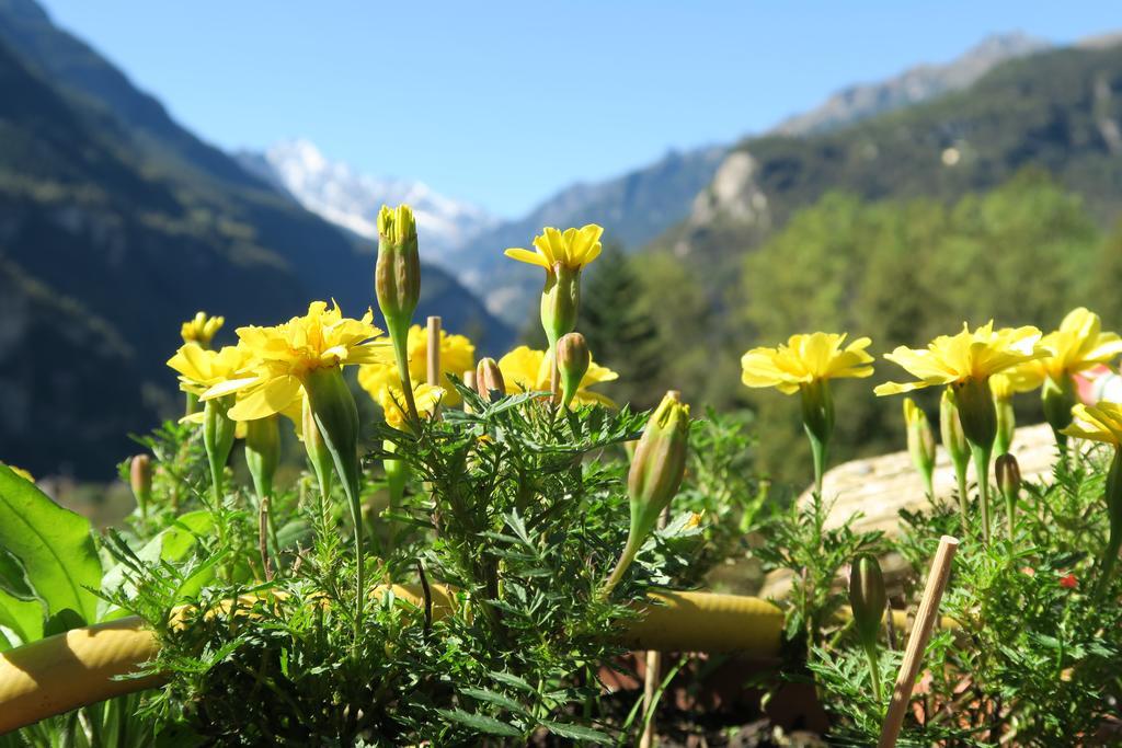 B&B Alpe Veglia Varzo Buitenkant foto