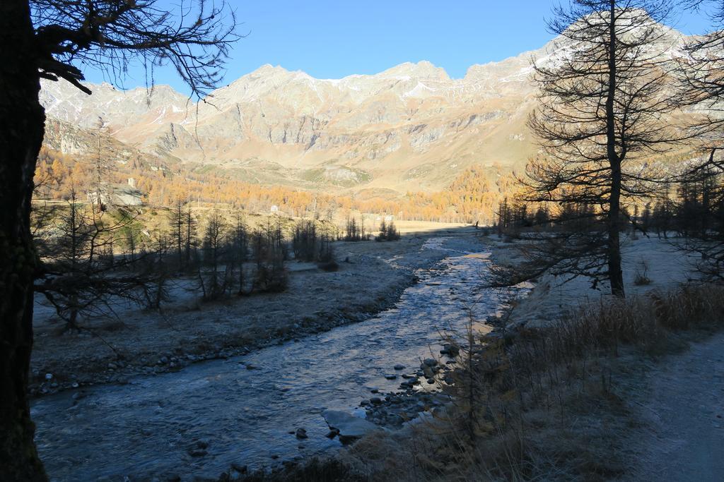 B&B Alpe Veglia Varzo Buitenkant foto