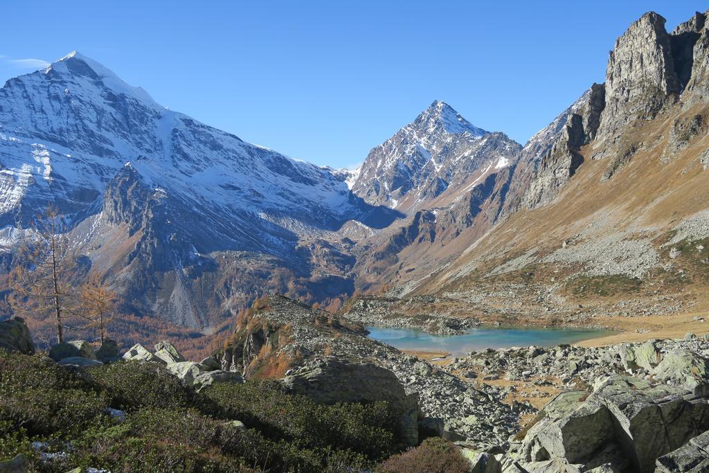 B&B Alpe Veglia Varzo Buitenkant foto