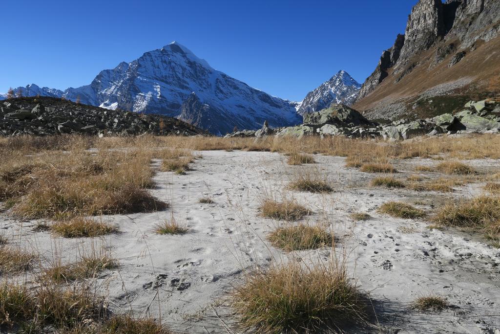 B&B Alpe Veglia Varzo Buitenkant foto