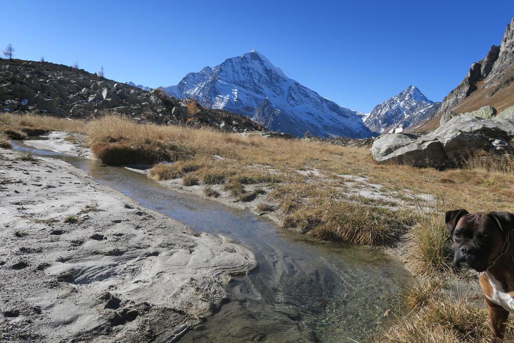 B&B Alpe Veglia Varzo Buitenkant foto