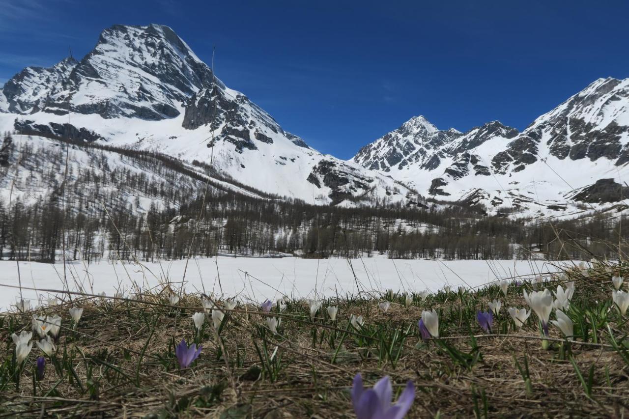 B&B Alpe Veglia Varzo Buitenkant foto