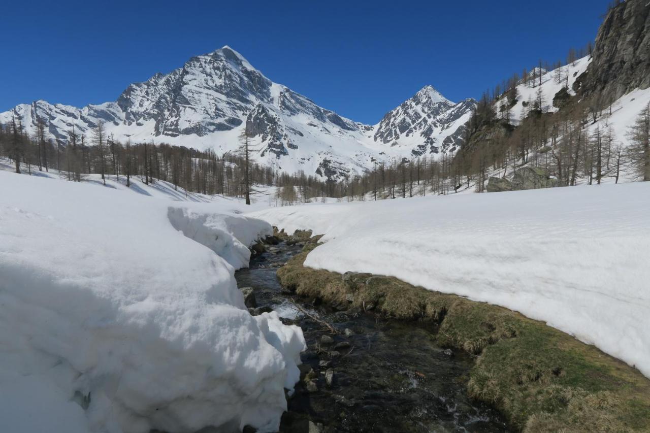 B&B Alpe Veglia Varzo Buitenkant foto